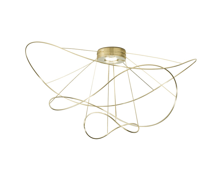 Hoops Ceiling Light