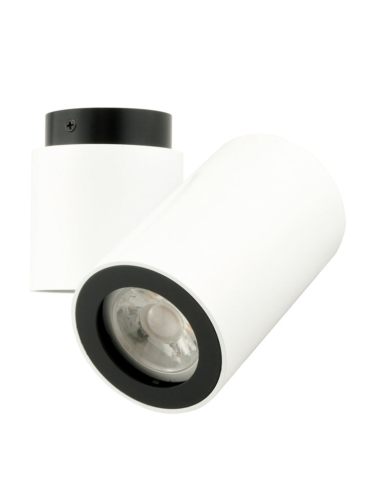 Barro Single Spotlight