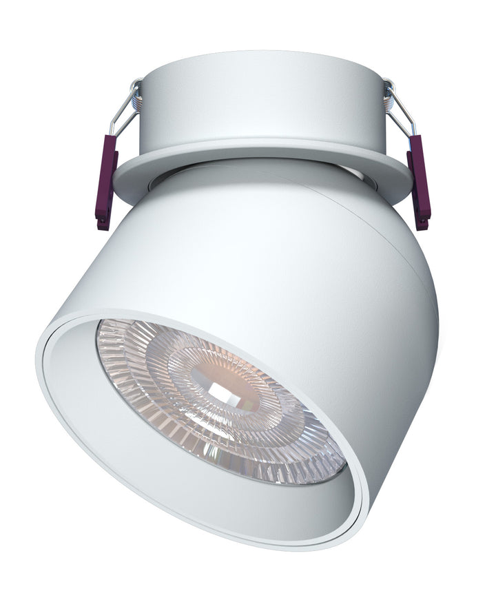 Dome Recessed Adjustable Downlight