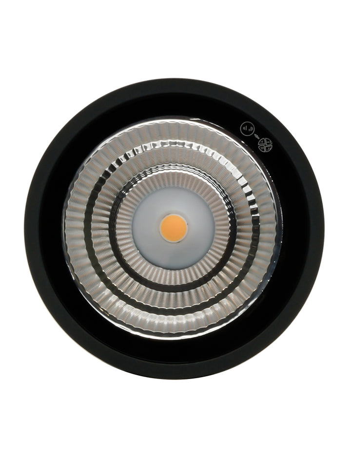 Moby Outdoor Ceiling Light