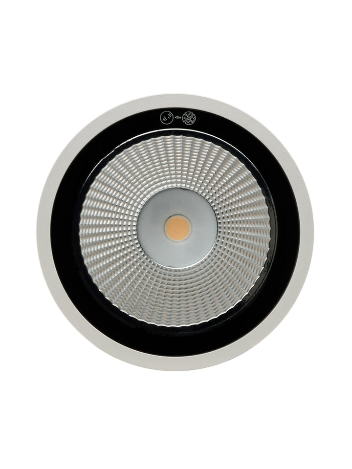 Moby Outdoor Ceiling Light