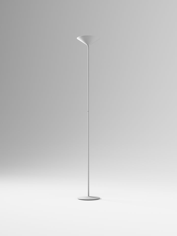 Dry Floor Lamp