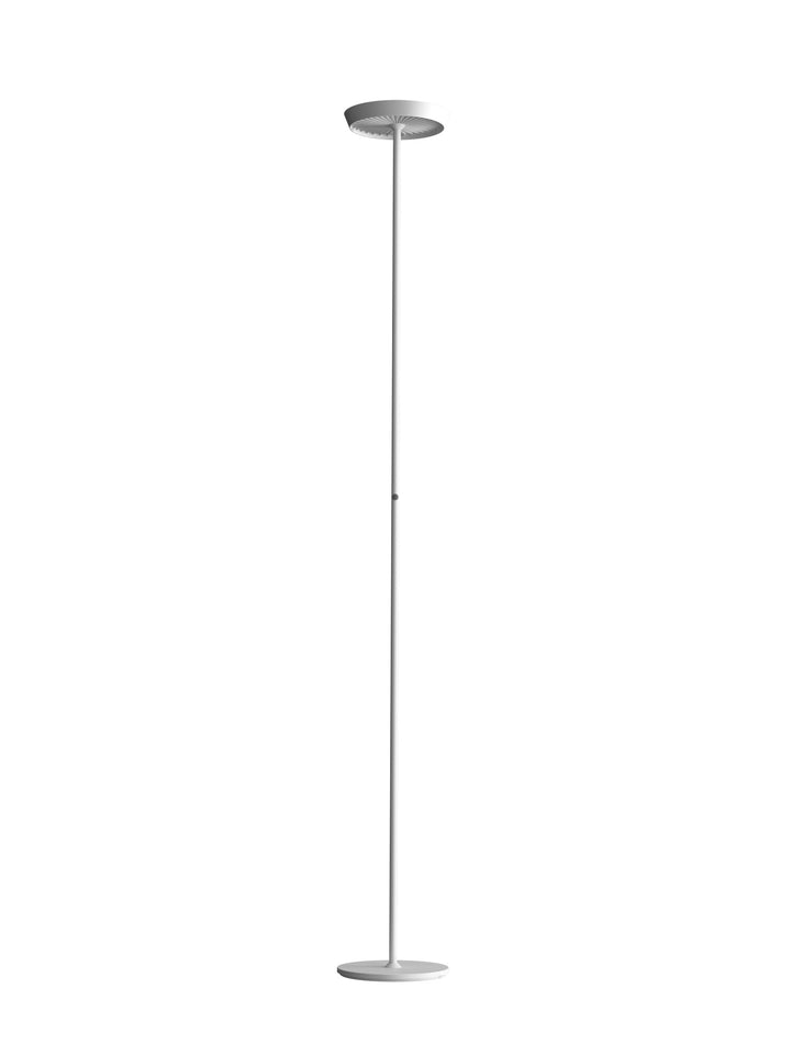 Prince Floor Lamp