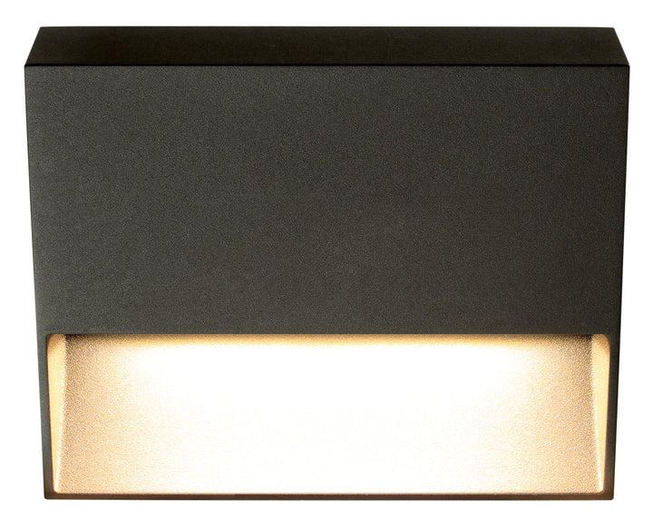 Walloo Exterior Wall Light