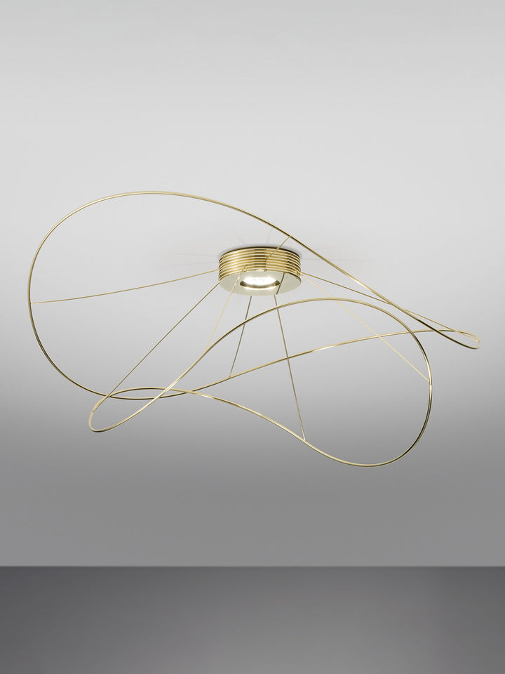 Hoops Ceiling Light