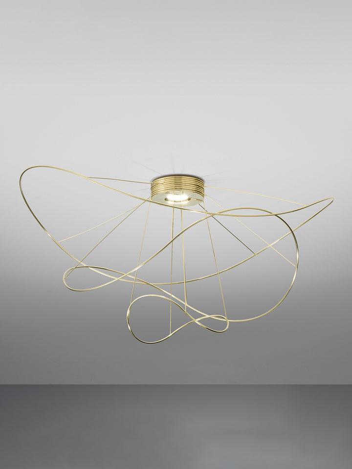 Hoops Ceiling Light